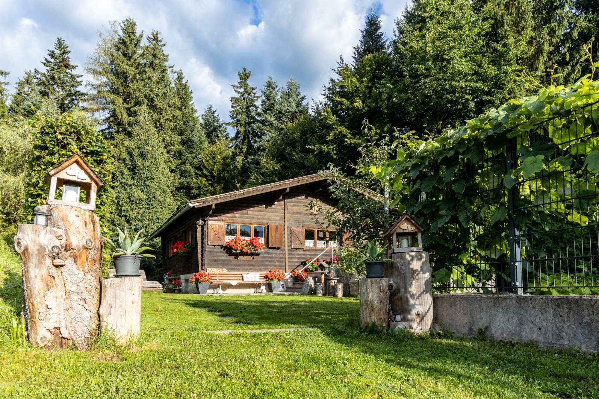 Apartmán Ferienhuette Puutz Wörgl Exteriér fotografie
