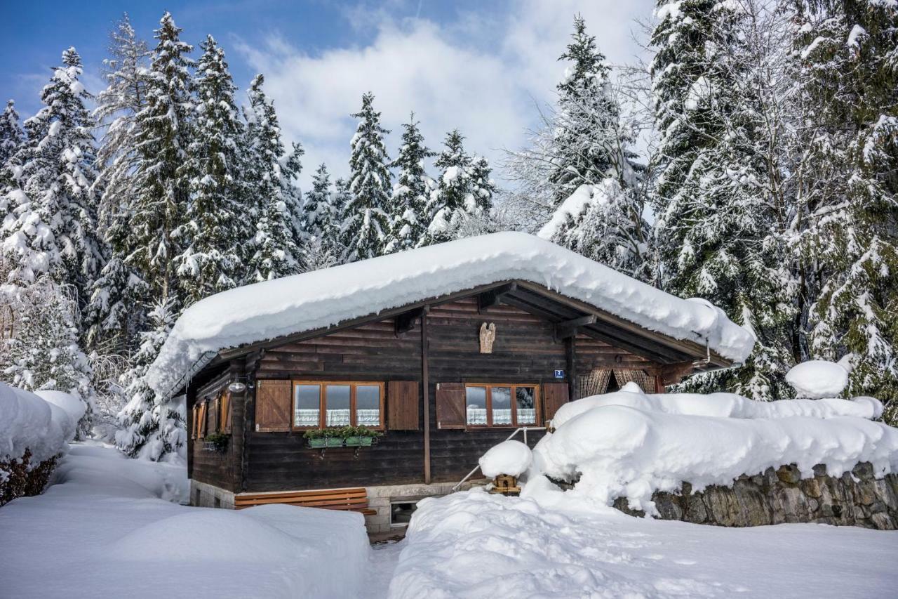 Apartmán Ferienhuette Puutz Wörgl Exteriér fotografie
